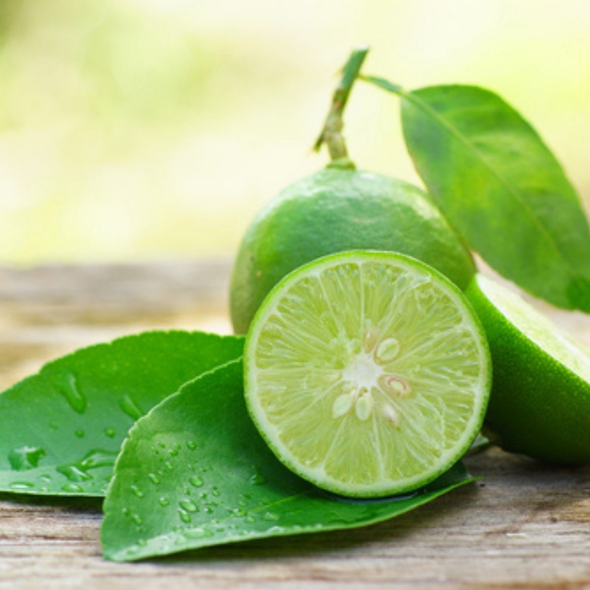 2 Yaş Aşılı Misket Limon (Lime) Fidanı (100-120 cm)