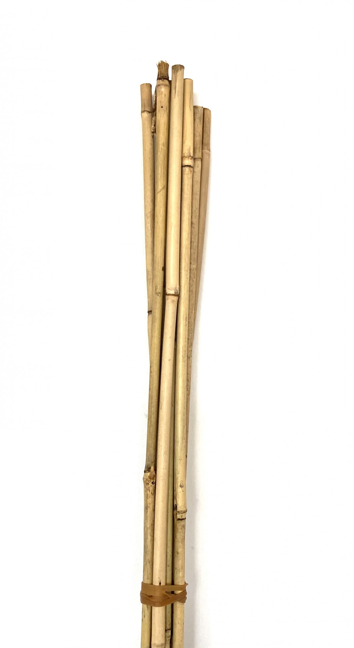 BAMBU (Bitki Destek Çubuğu) 105 cm-10'lu Set