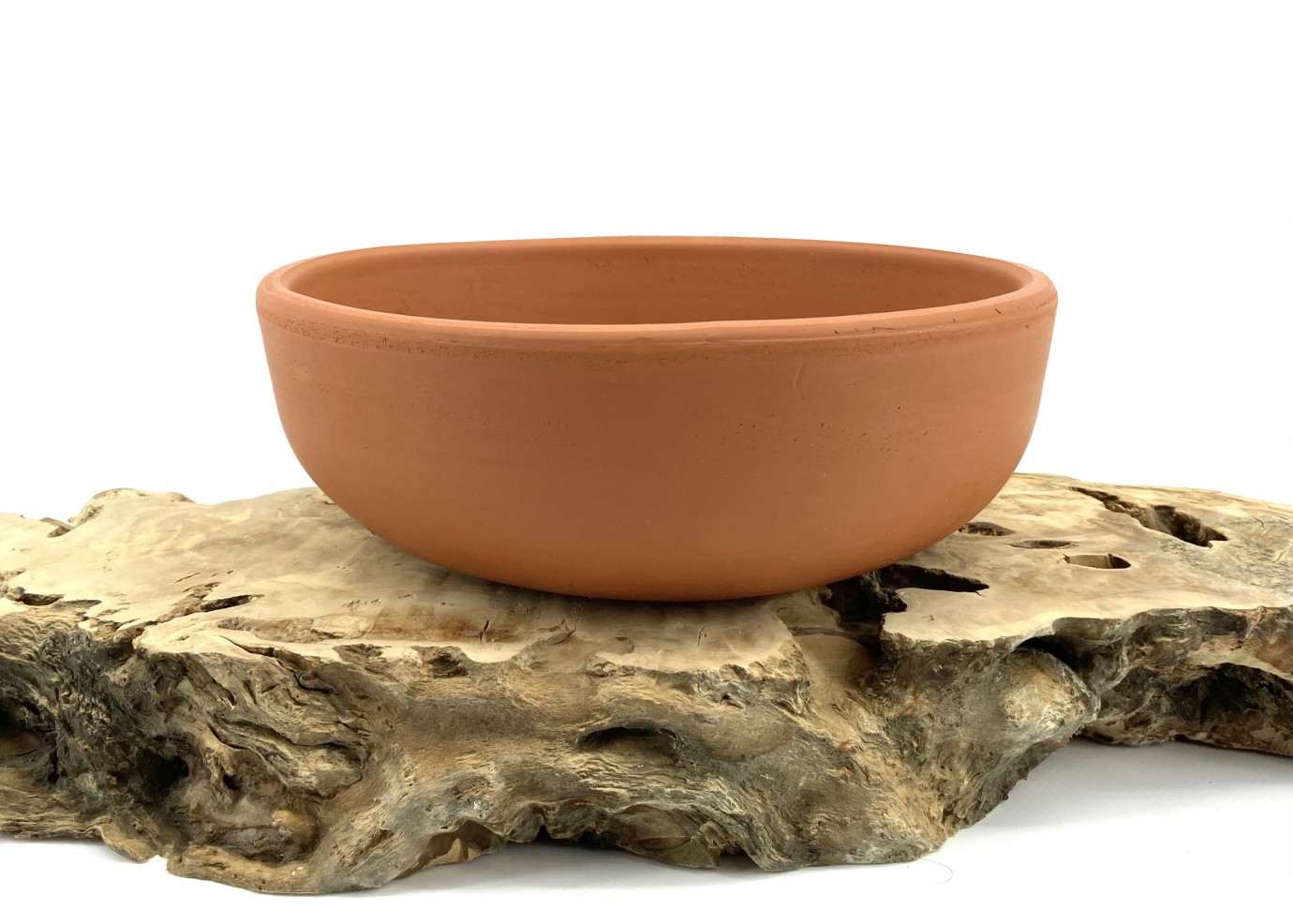 Naturel Bonsai Saksısı 22X8-Baskı Bonsai Saksısı