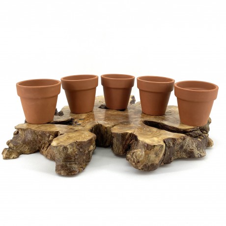Toprak Sukulent Saksısı 9X8-Naturel Sevillia-5'li Set